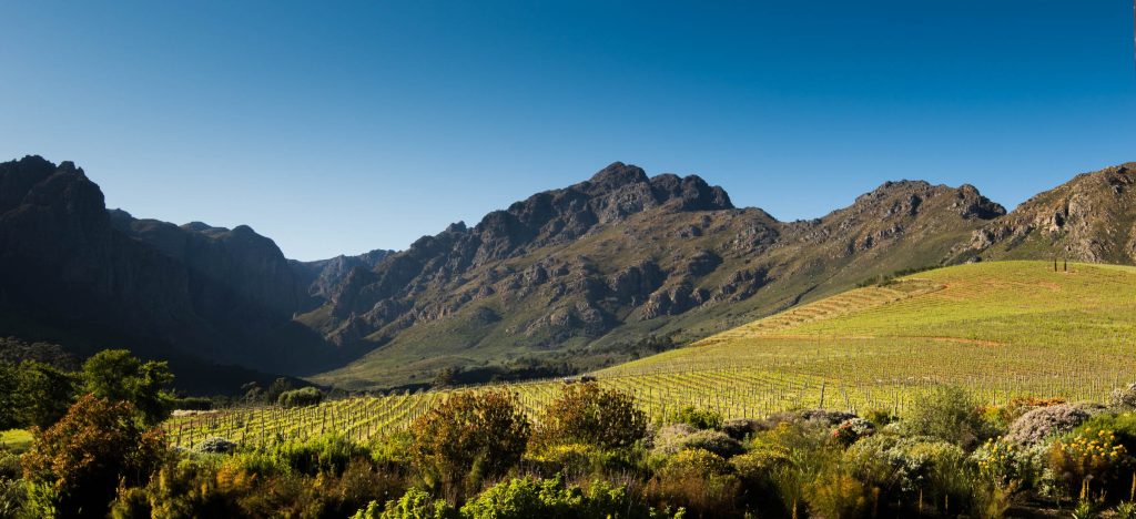 oldenburg mountains Why Oldenburg is one of South Africa’s top premium producers